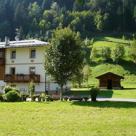 B&B Il Sorriso Dei Nonni Pracorno di Rabbi Exterior foto